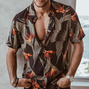 Braun